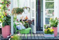 7 zomertips voor een fleurig terras en balkon