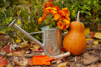 Herfsttrends 2016 #1