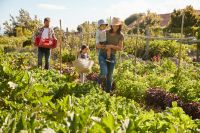 Moestuintips augustus