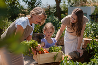 Tips voor een veilige & kindvriendelijke tuin