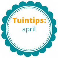 Tuintips van de maand april!