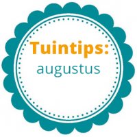 Wat te doen in de tuin in augustus?