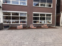 Schooltuin