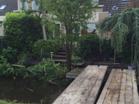 De oude tuin